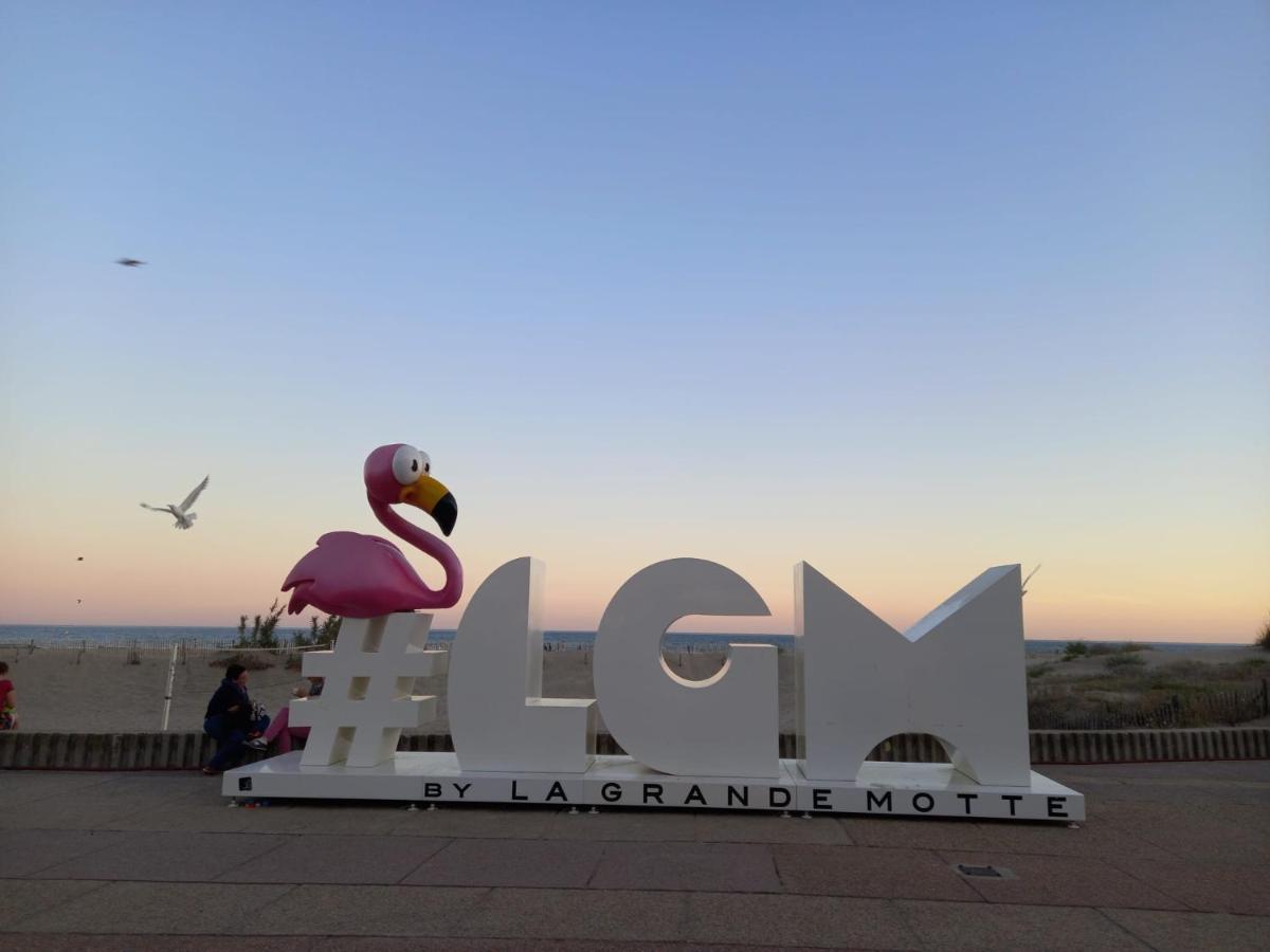 Le Cocon De Flo, Studio Face A La Mer Au Couchant La Grande-Motte Exterior photo